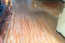 Cách bảo vệ sức khỏe mùa nồm, tránh bệnh đường hô hấp bùng phát