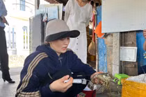 Xử phạt cơ sở bơm tạp chất vào tôm hùm chết để bán