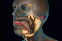 Phát hiện tuyến nước bọt bí ẩn trong cơ thể con người