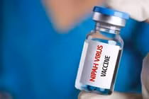 Nhật Bản thử nghiệm lâm sàng vắc xin ngừa virus Nipah