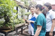 Cả nước ghi nhận 21.640 trường hợp mắc sốt xuất huyết trong tháng 8