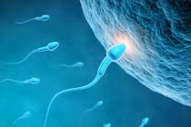 Người hiến tinh trùng mang đột biến gene gây ung thư là cha của gần 200 trẻ