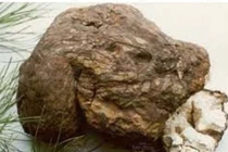 Yêu cầu thu hồi dược liệu Bạch Linh do vi phạm chất lượng mức độ 3