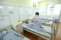 Hà Nội còn 4 ổ dịch sốt xuất huyết