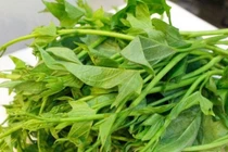 Lợi ích không ngờ từ rau lang cho người cao huyết áp