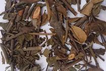 Hà Nội thu hồi dược liệu Tang ký sinh do vi phạm chất lượng