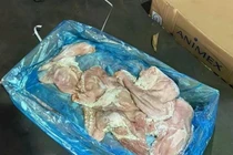 Gần 70 tấn thực phẩm không rõ nguồn gốc bị công an thu giữ
