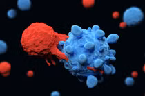 Liệu pháp tế bào CAR-T, thử nghiệm mới trong điều trị bệnh tự miễn