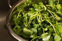 Tác dụng của rau cải xoong đối với sức khỏe