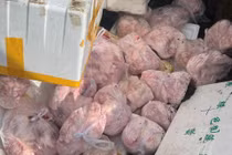 Đắk Lắk tiêu hủy 400 kg thịt heo không rõ nguồn gốc