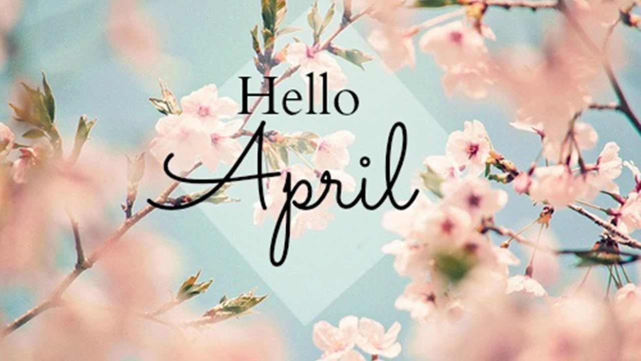 Video: Bật mí tài vận của tuổi Tuất trong tháng 3 âm lịch