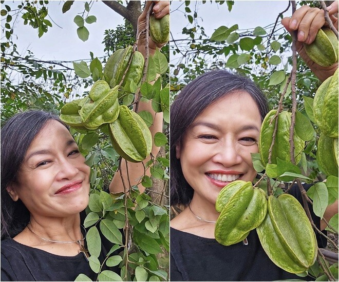 มะเฟืองดูเหมือนจะแตกแล้ว ภาพ: FB Oanh Le Tu khu-vuon10.jpg
