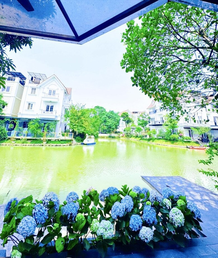 Khu vực vườn sau cũng được Lã Thanh Huyền trồng một dãy cẩm tú cầu sắc xanh lam. Ảnh: FB Lã Thanh Huyền biet-thu7.jpg