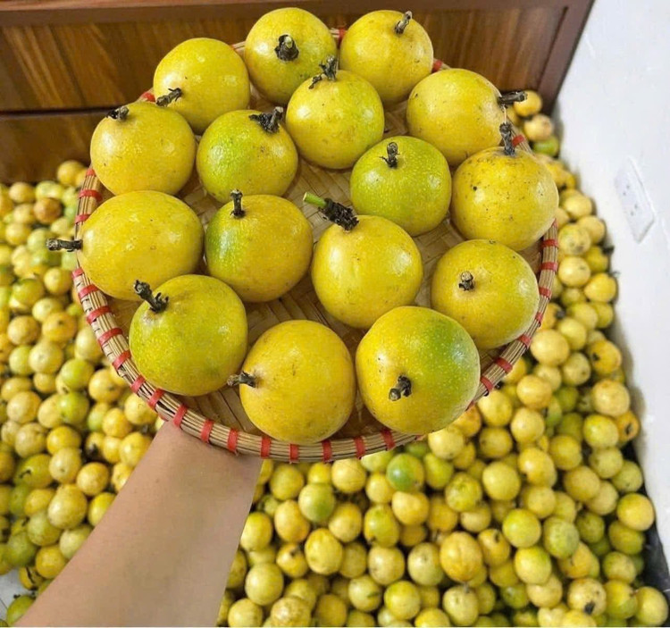 Đông khách nên chị Thảo thường phải đặt trước, nhiều hôm muộn không còn hàng. Ảnh: Facebook chanh-leo10.jpg