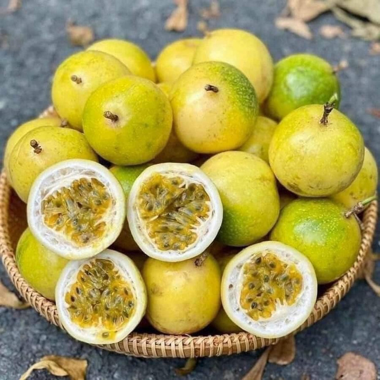 Chị Duyên (chuyên bán hoa quả tại Hà Nội) cho biết, giá chanh leo vàng năm nay rẻ hơn mọi năm nên rất hút khách. Có ngày chị Duyên lấy về gần 1 tạ cũng hết veo. Ảnh: Facebook chanh-leo6.jpg