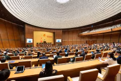 Các Đoàn đại biểu Quốc hội họp bầu Trưởng Đoàn, Phó Trưởng Đoàn