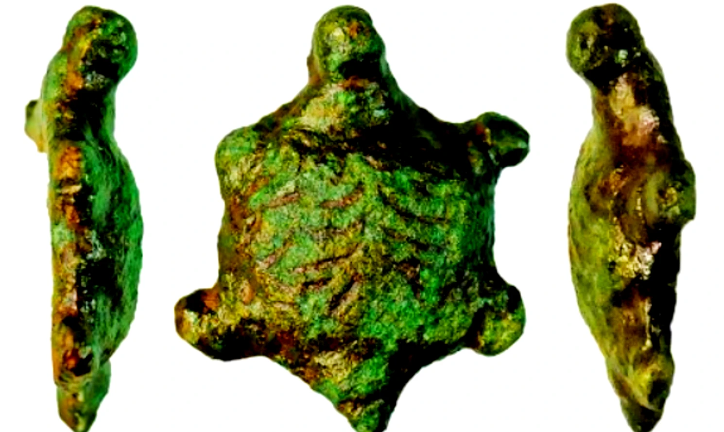 Phát hiện tượng rùa đồng cổ, lộ manh mối kỳ lạ từ La Mã