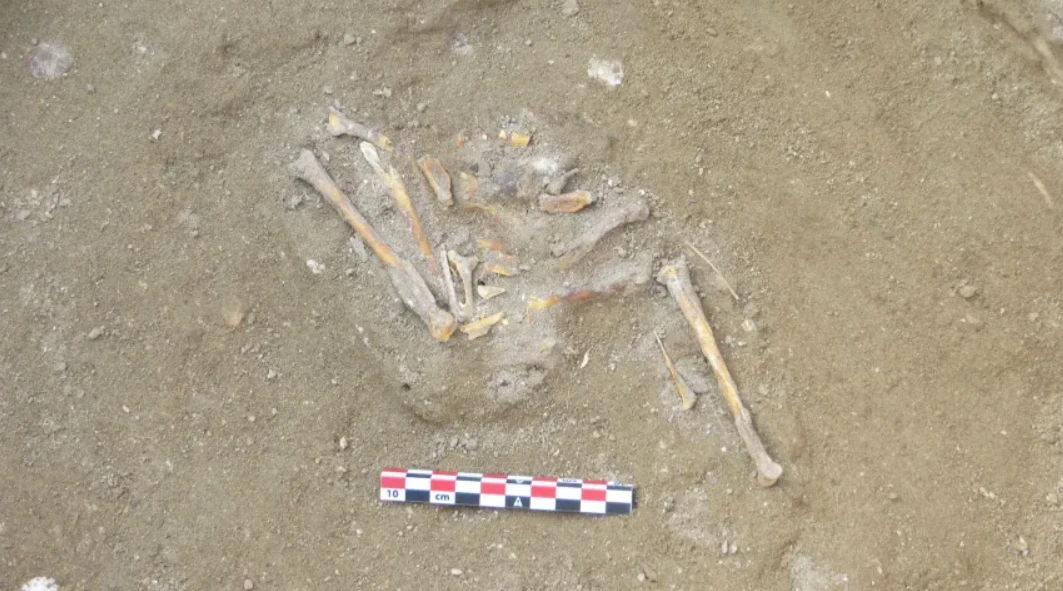 Ngôi đền chim ưng cổ đại hé lộ nghi lễ tôn giáo độc đáo của Ai Cập