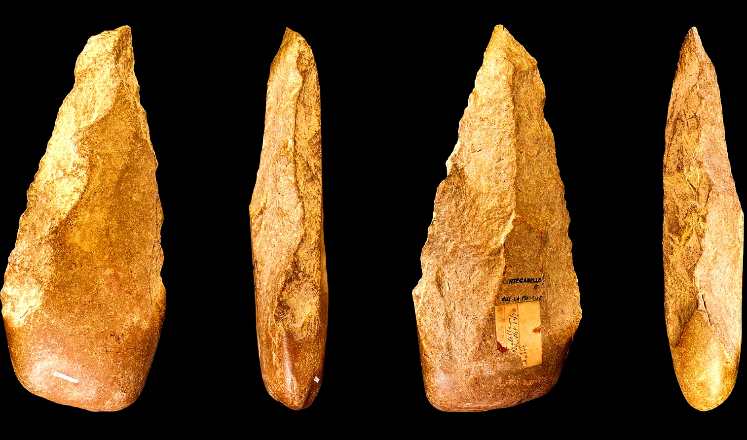 Sự thật chấn động về chất keo kết dính 20.000 năm tuổi 