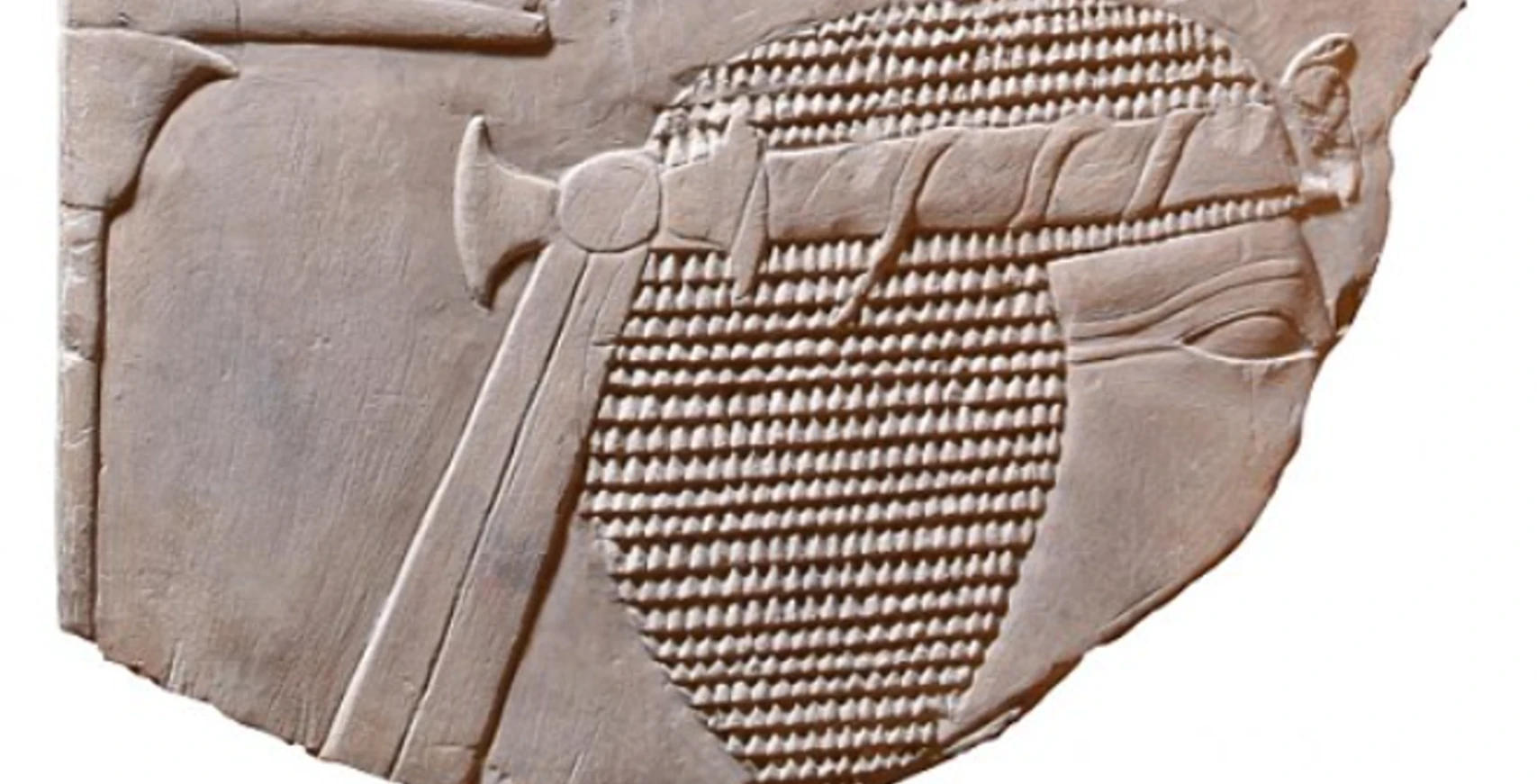 Nữ Pharaoh Hatshepsut xuất hiện trên phù điêu gây sốt giới khảo cổ