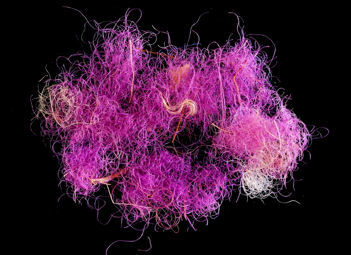 Vải tím hoàng gia 3.000 năm tuổi khiến giới khảo cổ sửng sốt