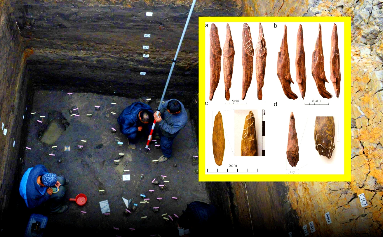 Giải mã công cụ bằng gỗ 300.000 năm tuổi ở Trung Quốc 