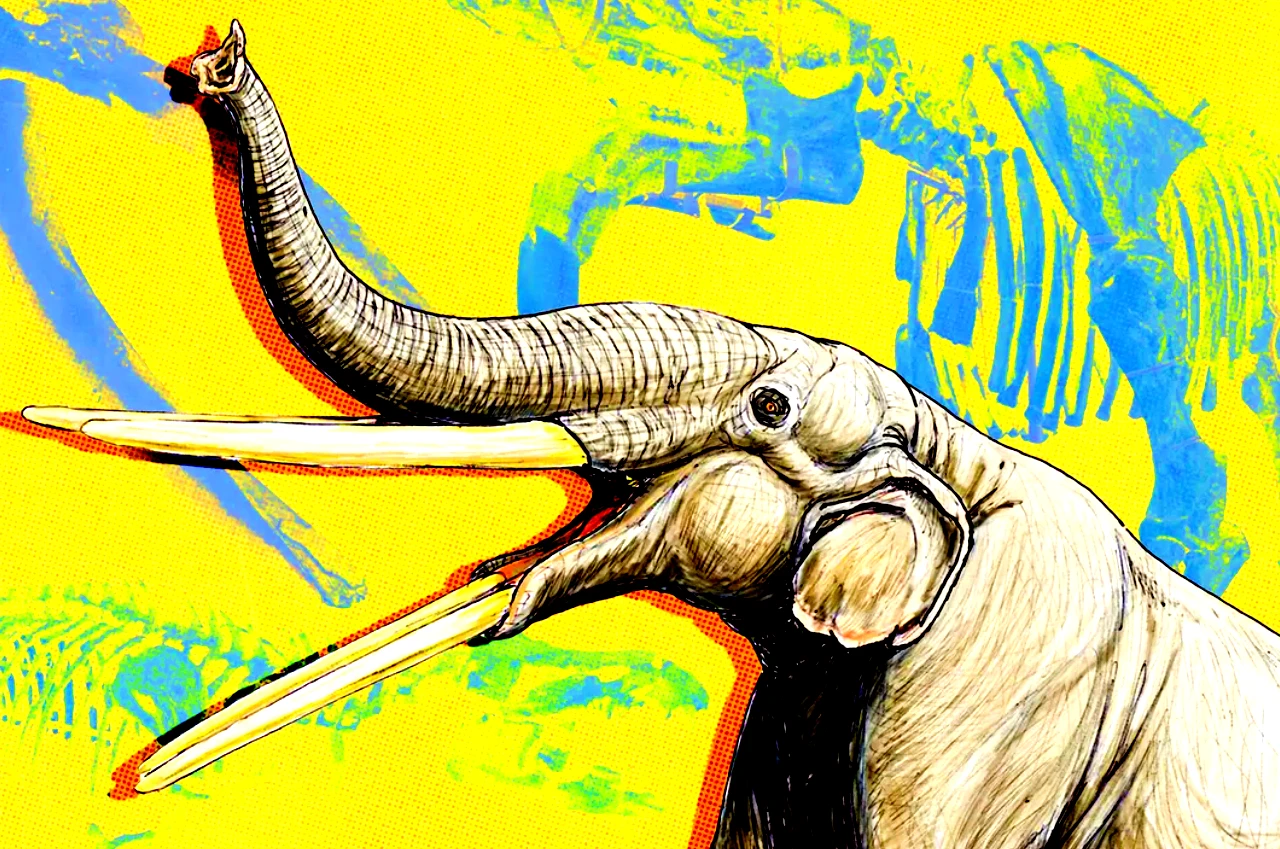 Phát hiện "nhà trẻ" voi cổ đại trên bãi biển Tây Ban Nha