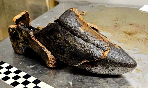 Guốc gỗ độc đáo 500 tuổi được tìm thấy ở nơi "khó nói"