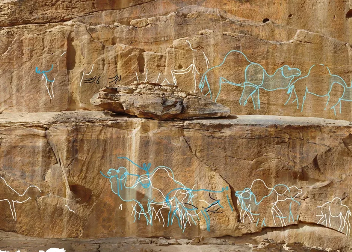 Soi bức chạm khắc trên đá 12.000 tuổi, tìm ra bí mật ngàn năm