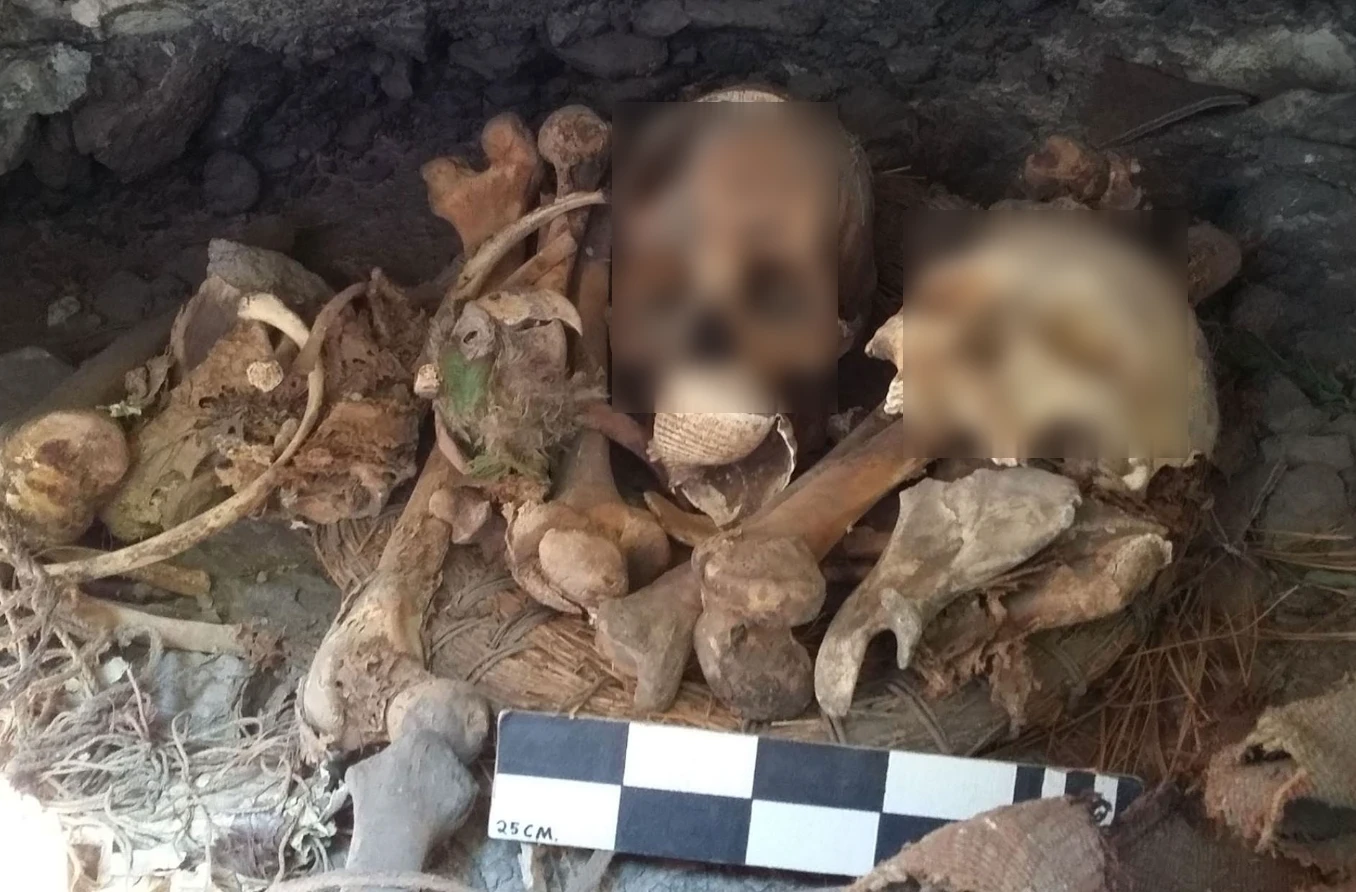 Bí ẩn mộ cổ 2.000 năm chứa xác ướp vẹt lâu đời nhất thế giới