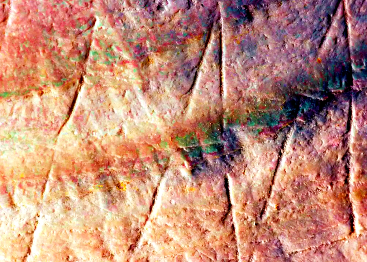 Bí ẩn bản khắc cổ nhất nhân loại trên vỏ sò hơn 500.000 tuổi