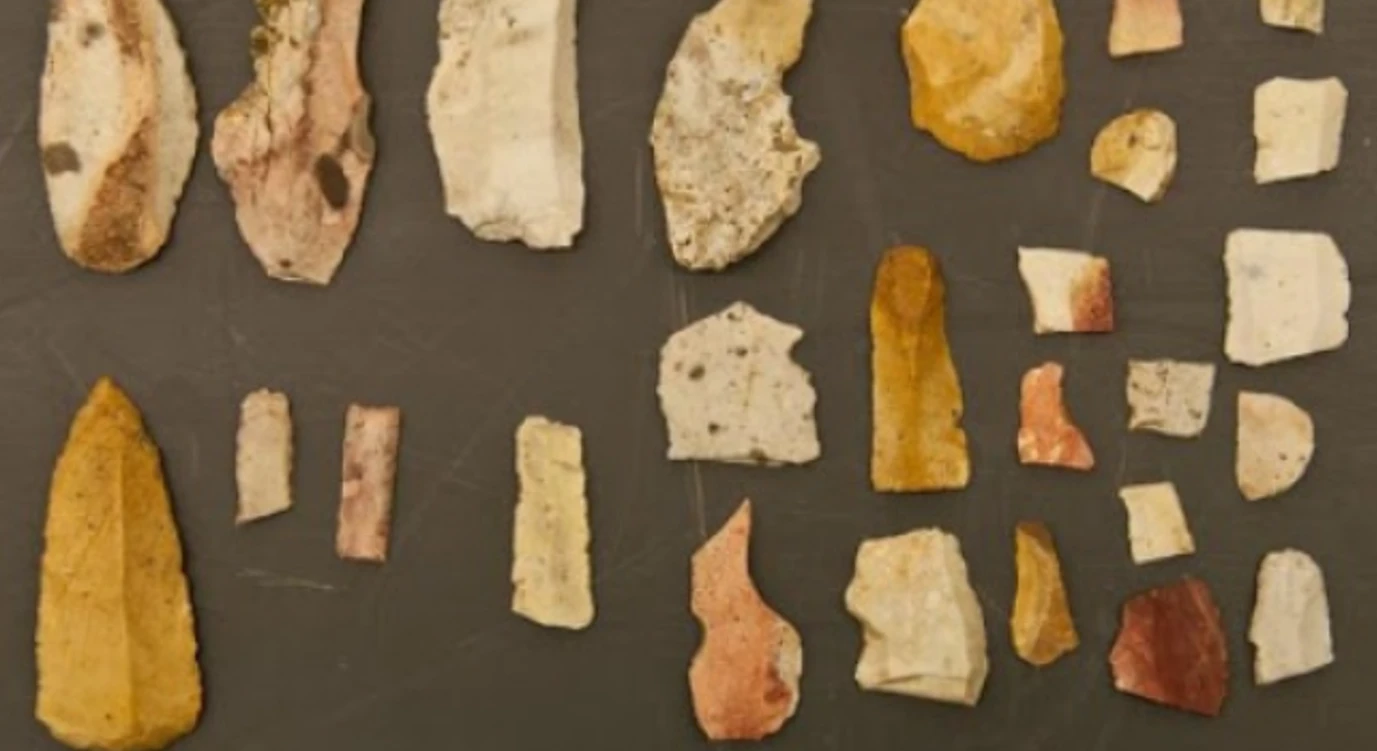 Cây bật gốc, lộ thiên loạt công cụ cổ xưa 12.000 tuổi 