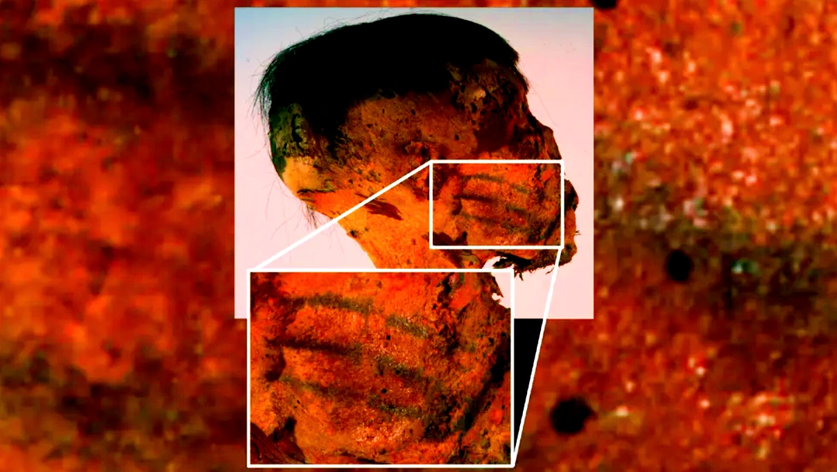 Kinh ngạc hình xăm kỳ dị trên mặt xác ướp 800 tuổi