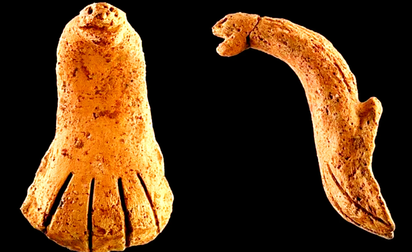 Tay cầm gốm rắn hổ mang 4.000 năm hé lộ điều bí ẩn