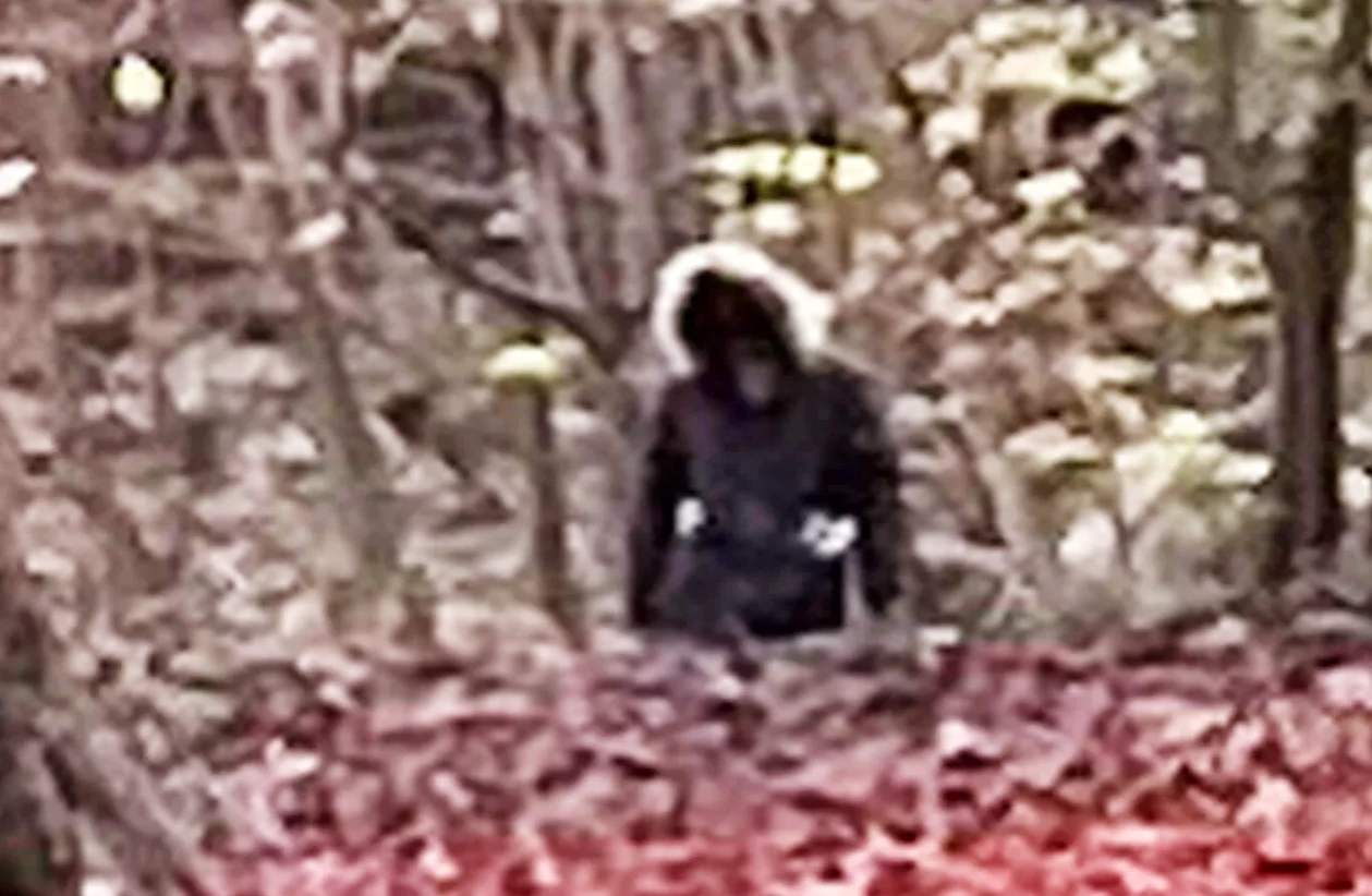 Rợn gáy Người Sói cao 2,4 mét lộ diện trong rừng ở Anh 