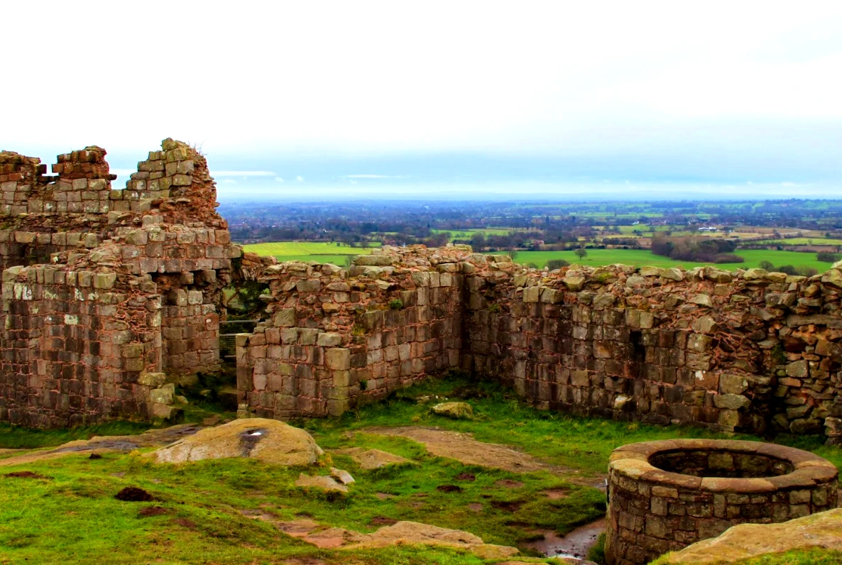 Tìm thấy chó hiến tế thời đồ sắt, chuyên gia sửng sốt