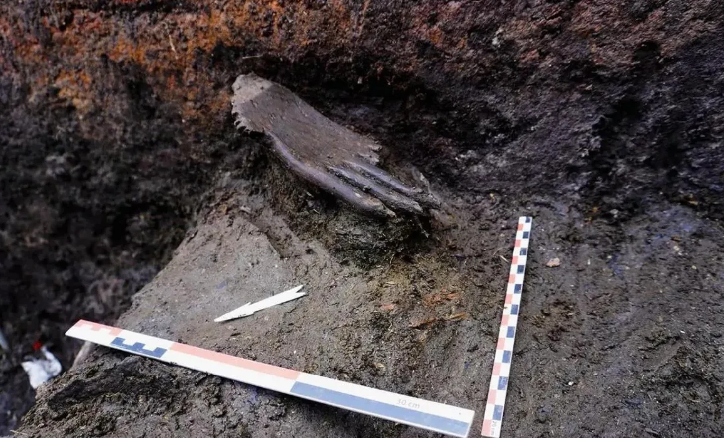 Phát hiện 'chi tiết lạ' trên bàn tay gỗ 6.000 năm tuổi ở Nga