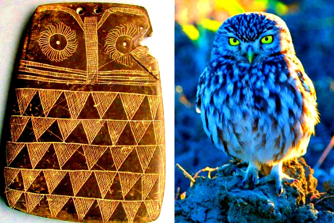 Sự thật bảng đá hình cú 5.000 năm gây sửng sốt giới khảo cổ