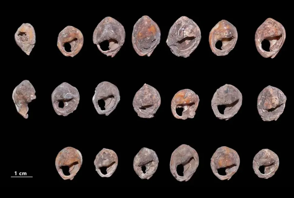 Có gì trong xưởng chế tác lâu đời nhất Tây Âu? 