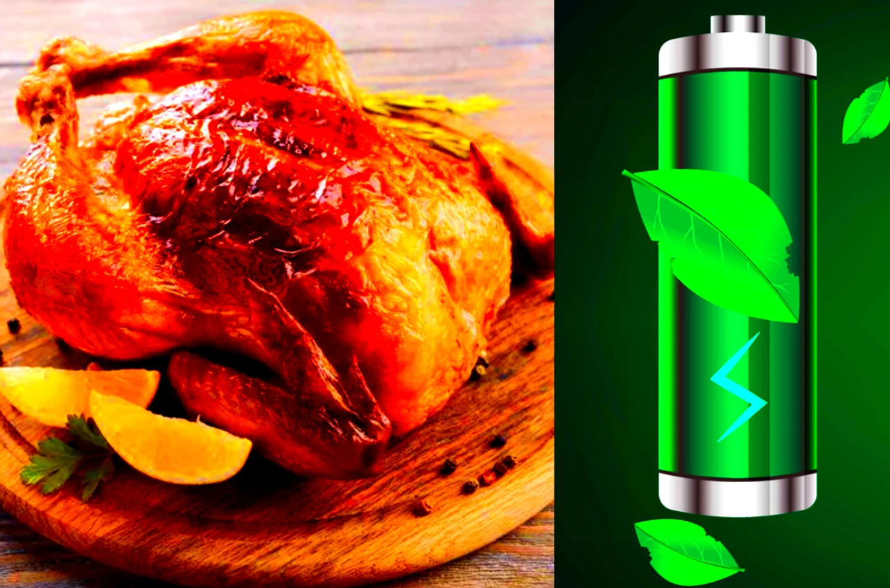 Hô biến mỡ gà thành thiết bị lưu trữ năng lượng 