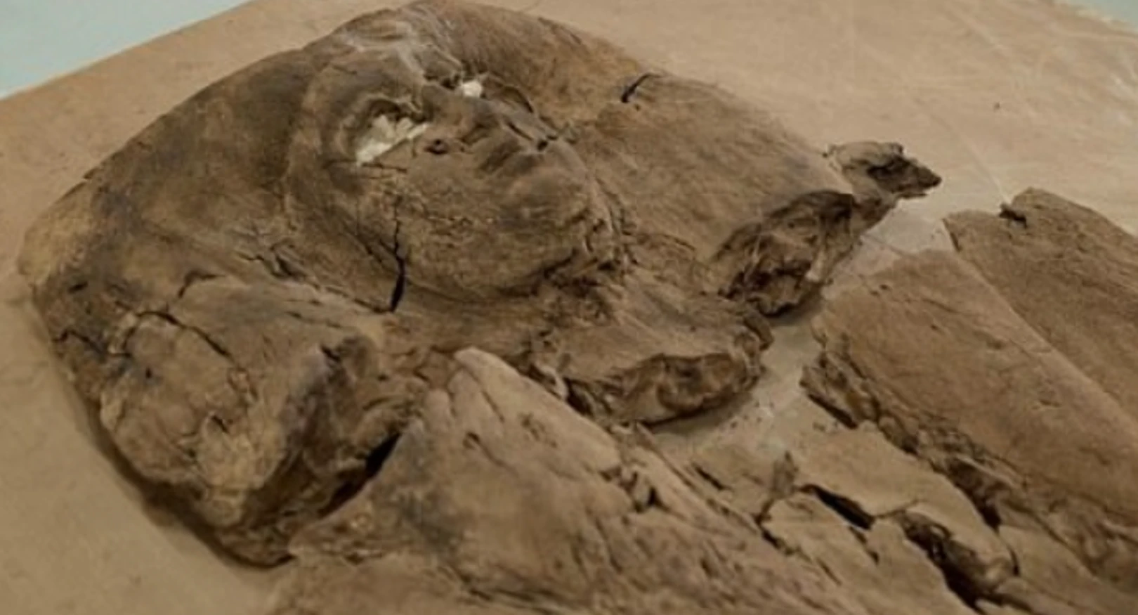 Thấy rõ khuôn mặt công chúa Ai Cập 4.000 năm tuổi