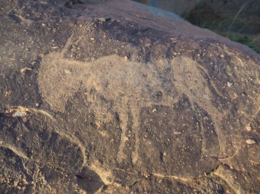 Hố va chạm lớn nhất Trái Đất hé lộ di tích cổ đại hơn 8.000 năm