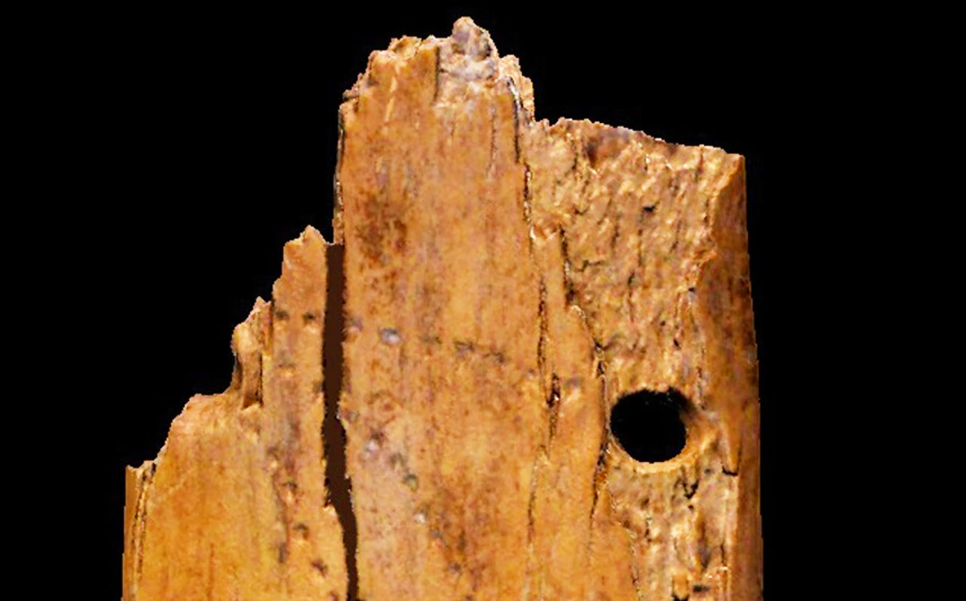 Mặt dây chuyền ngà voi siêu cổ đại, hé lộ bí mật tổ tiên