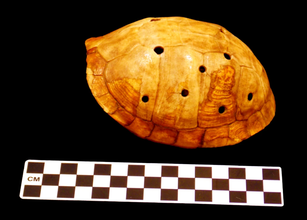 Hé lộ nhạc cụ làm từ mai rùa của người Mỹ cổ xưa