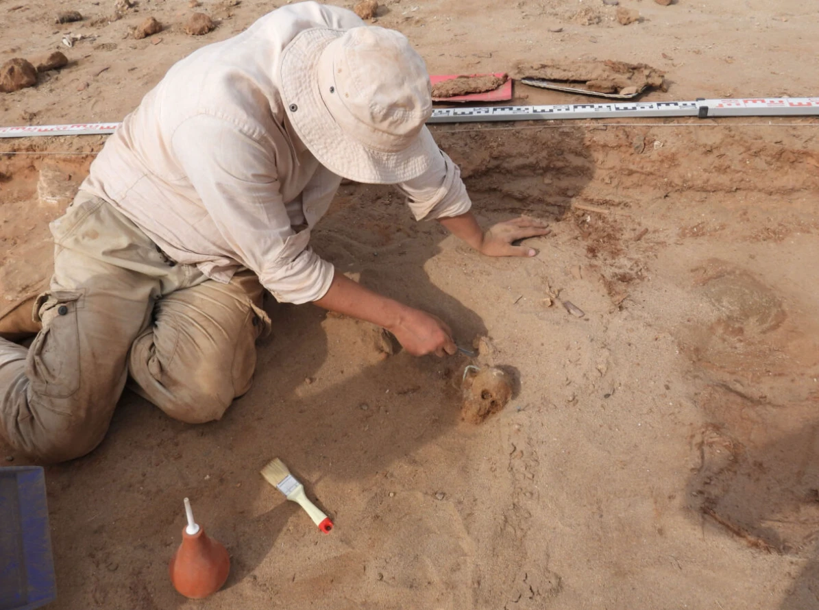 Phát hiện nơi chôn cất khỉ ở Thành phố Cháy của Iran 