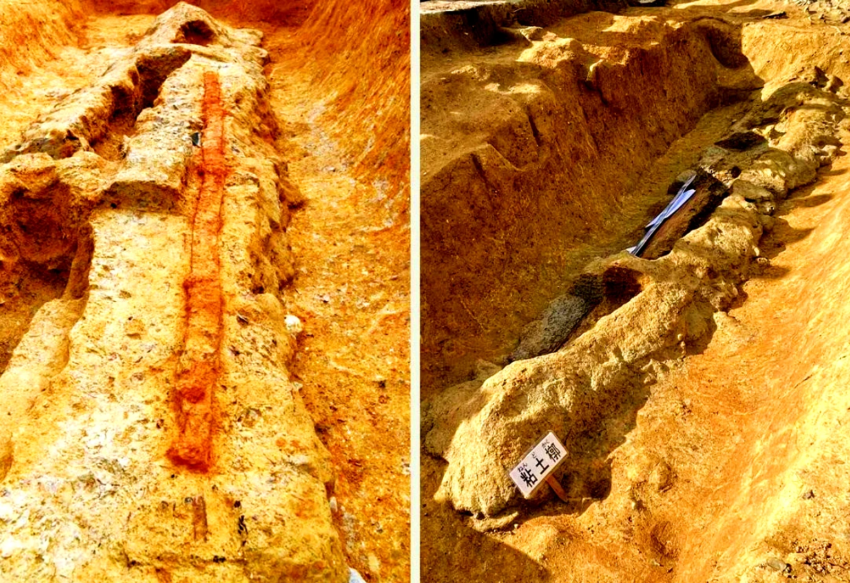 Phát hiện thanh kiếm khổng lồ 2,3 mét trong mộ cổ Nhật Bản