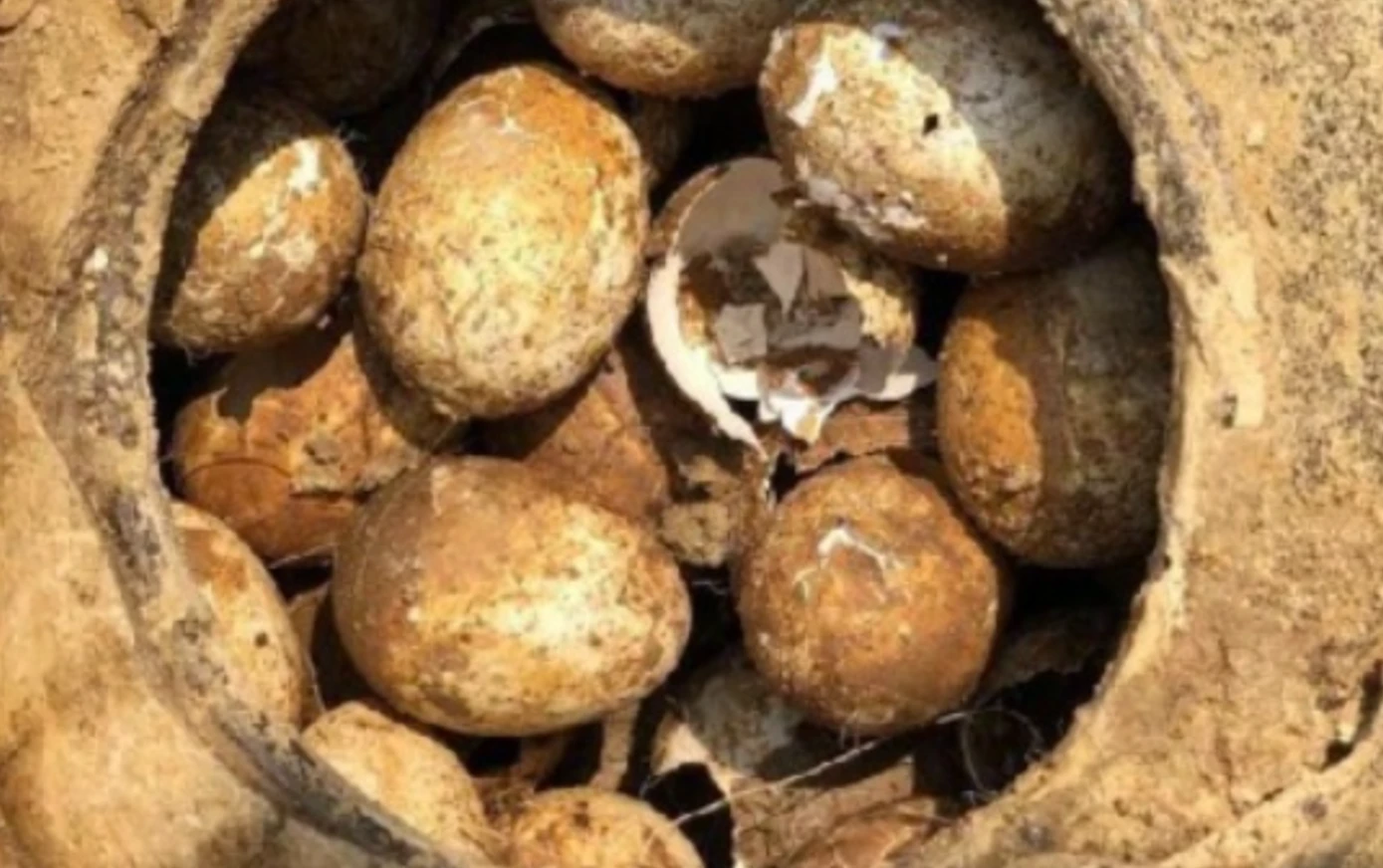 Kinh ngạc mộ cổ 2.500 năm chứa lọ trứng nguyên vẹn ở Trung Quốc