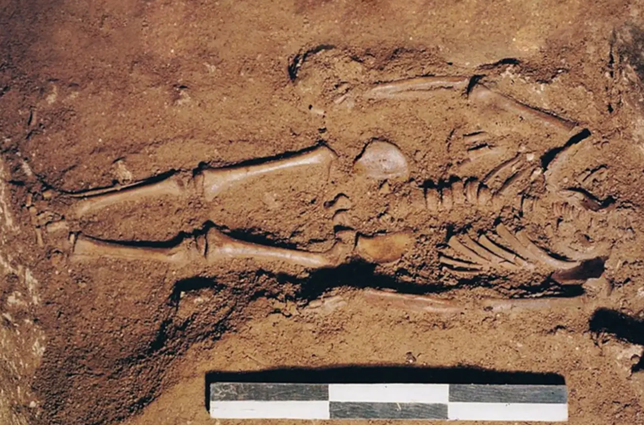 Chấn động phát hiện ADN thổ dân vô danh tồn tại 8.500 năm