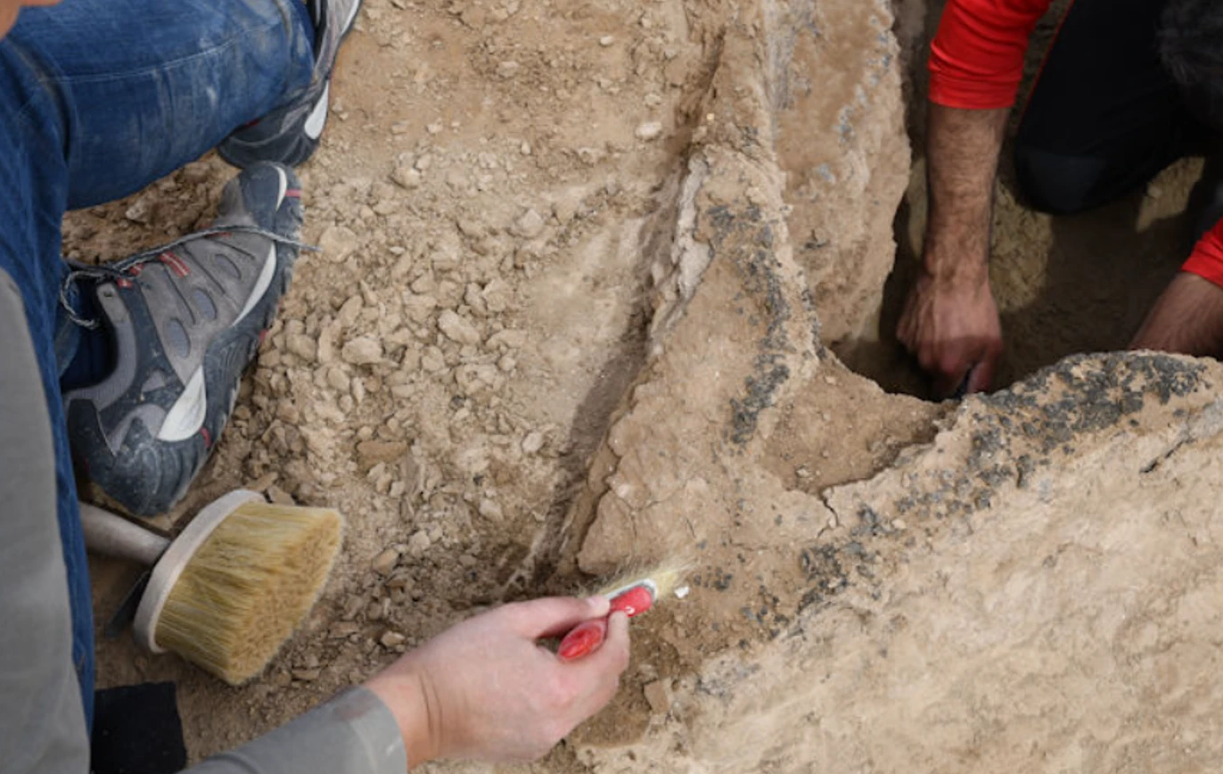 Thuyền cổ 4.000 năm tuổi phát lộ, bí mật Lưỡng Hà huyền thoại dần mở ra