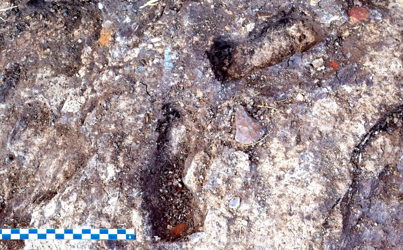 Dấu chân trẻ em trong hố vữa Ai Cập cổ đại gây chấn động